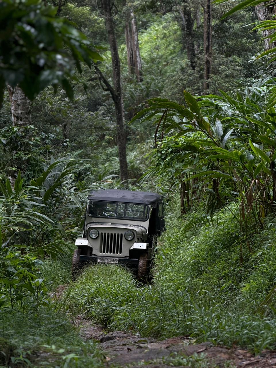 Jeep Safari